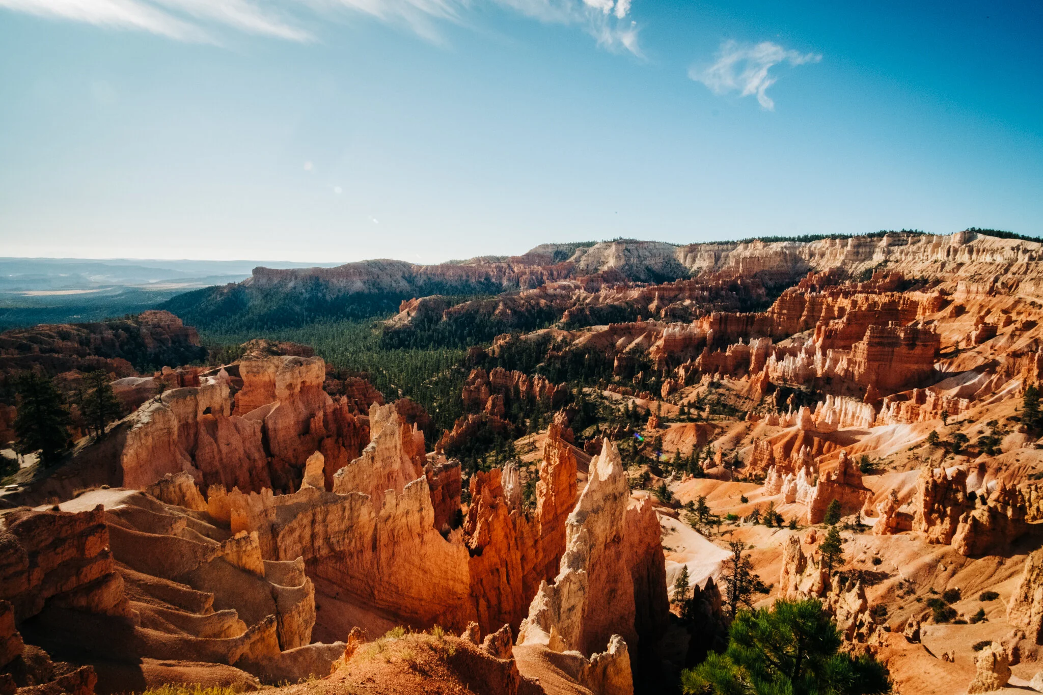 Internet Fun! Quarantine Edition 2