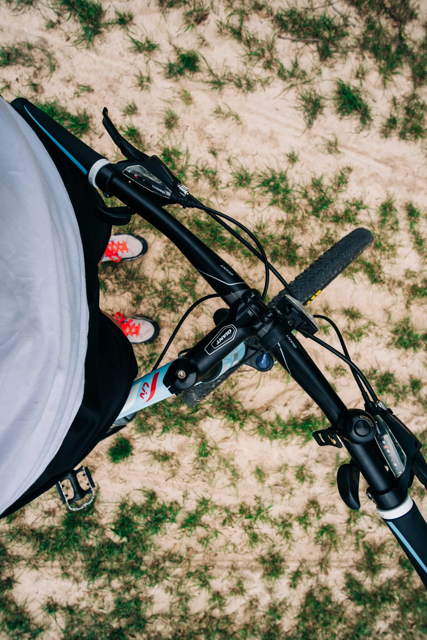 Don't Surrender Spring