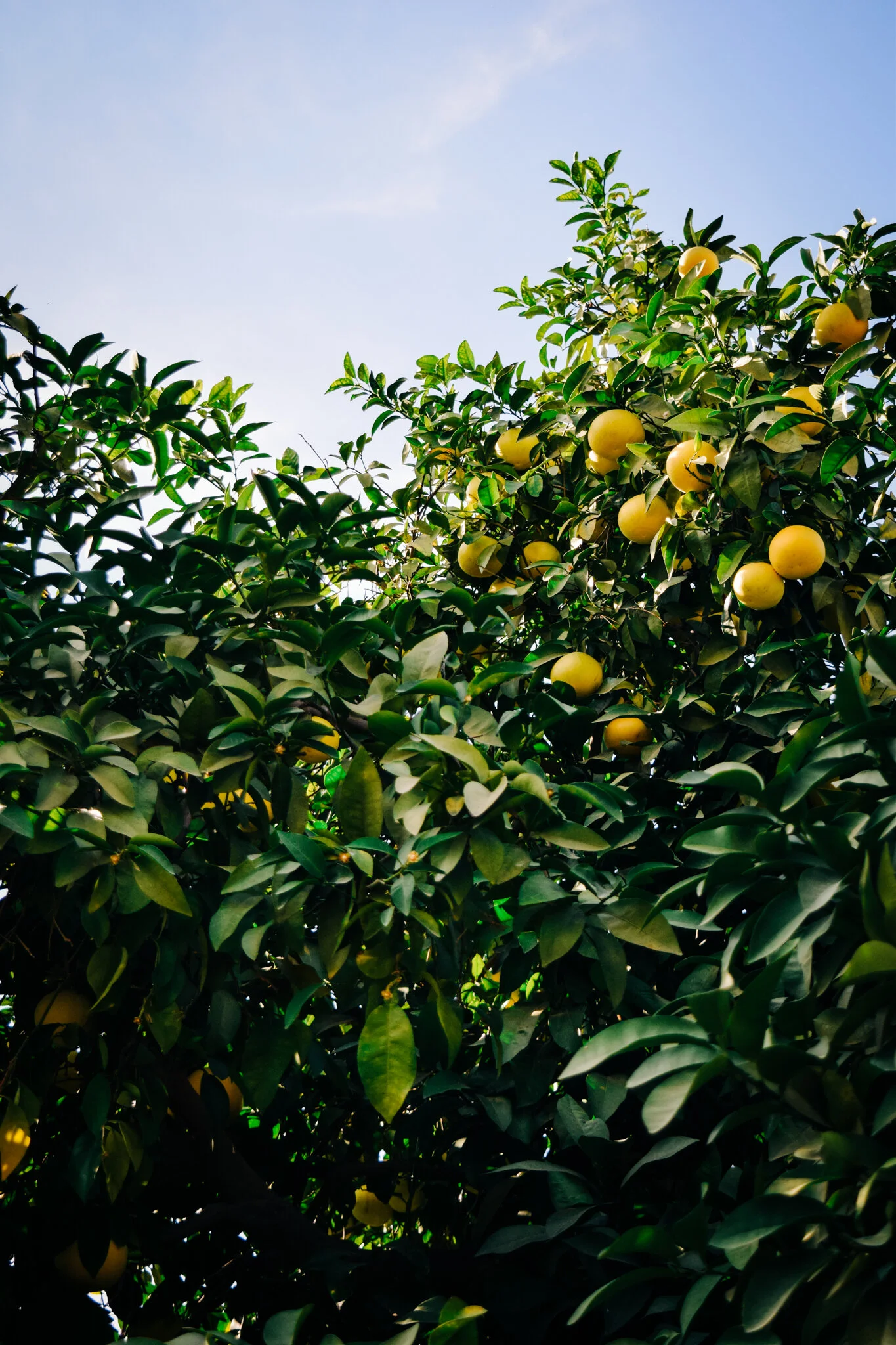 Internet Fun! Quarantine(?) Edition 3