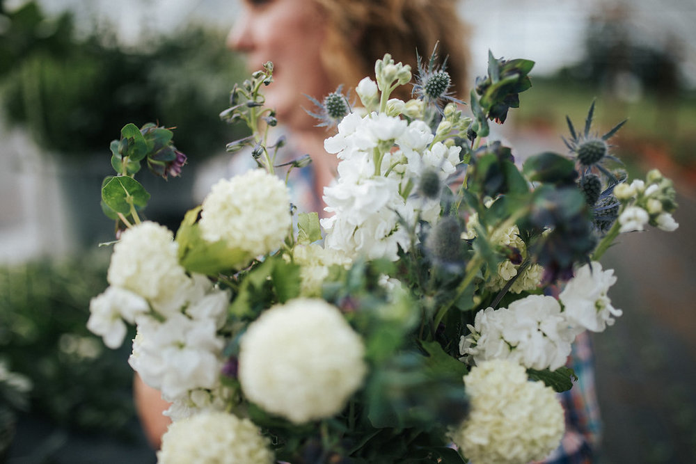 Bellingham Florist