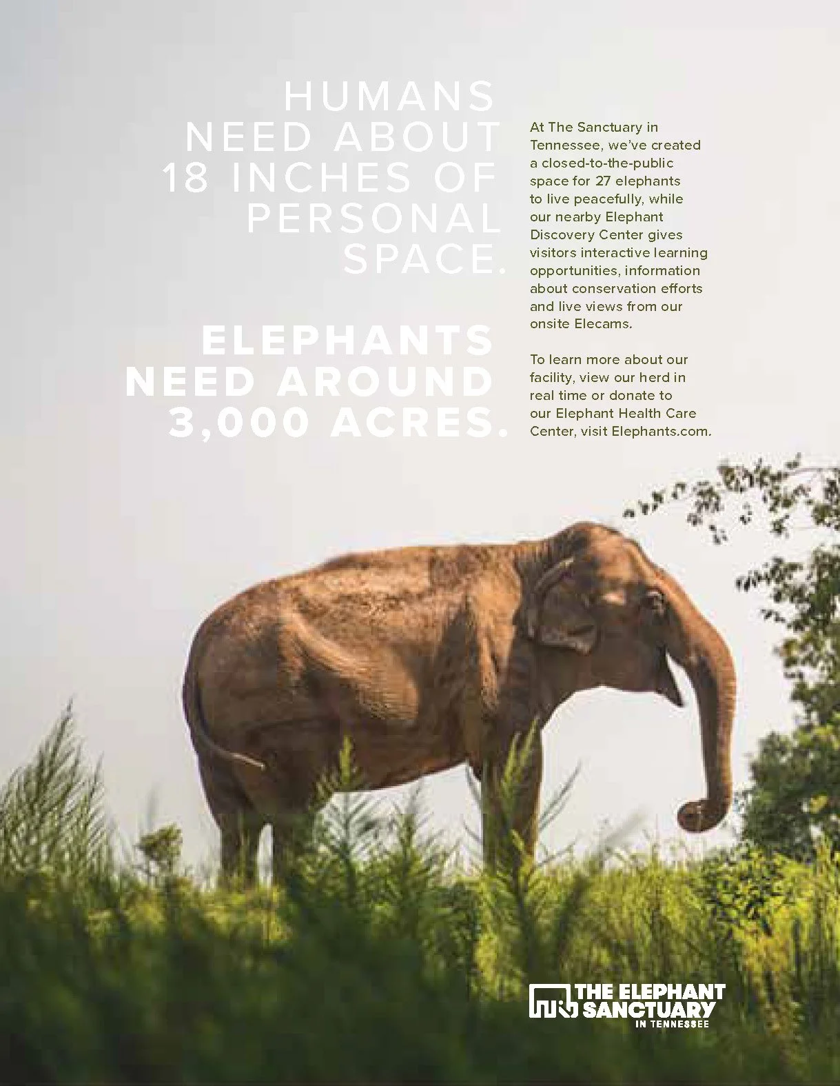 ElephantSanctuary2_Page_1.jpg