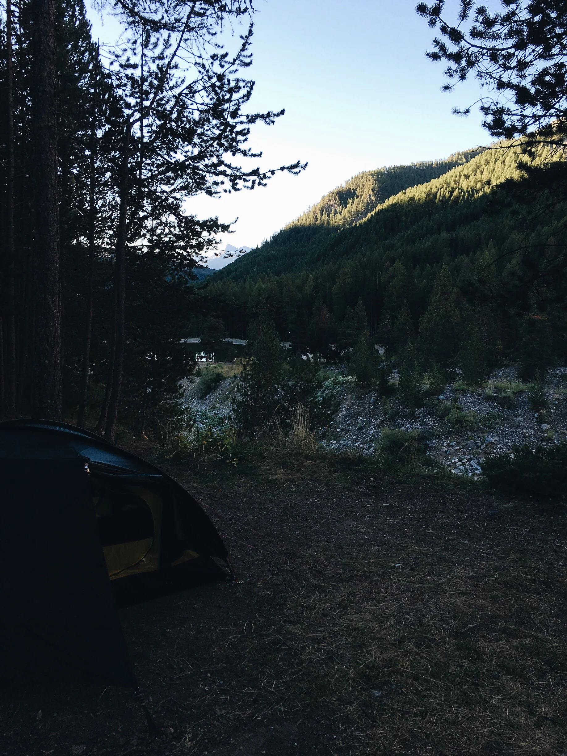 Tonight's pitch in the forest.