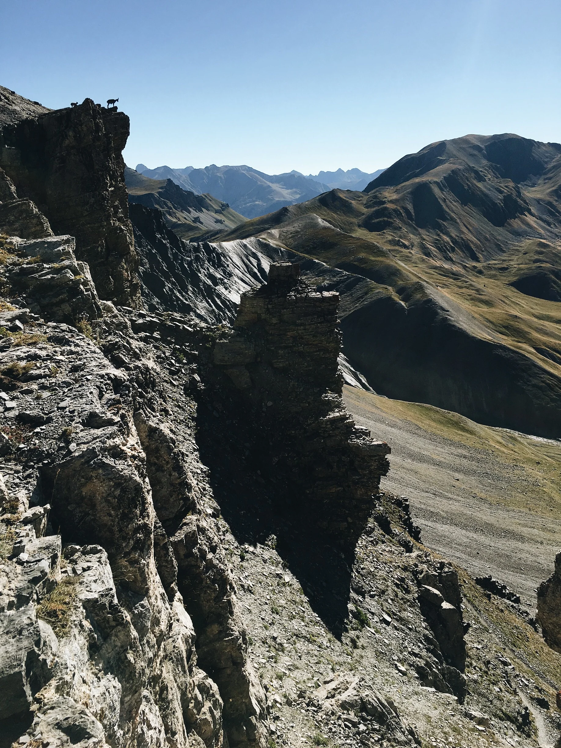 Spot the Chamois