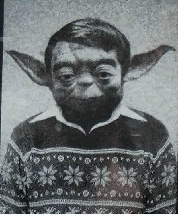 This high school picture of Yoda is just too good not to share!😂😂😂