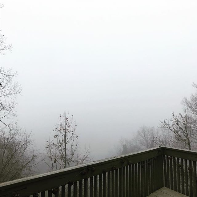 Foggy days up here on the hilltop are always so peaceful! Makes me feel like I&rsquo;m on a planet from Star Wars