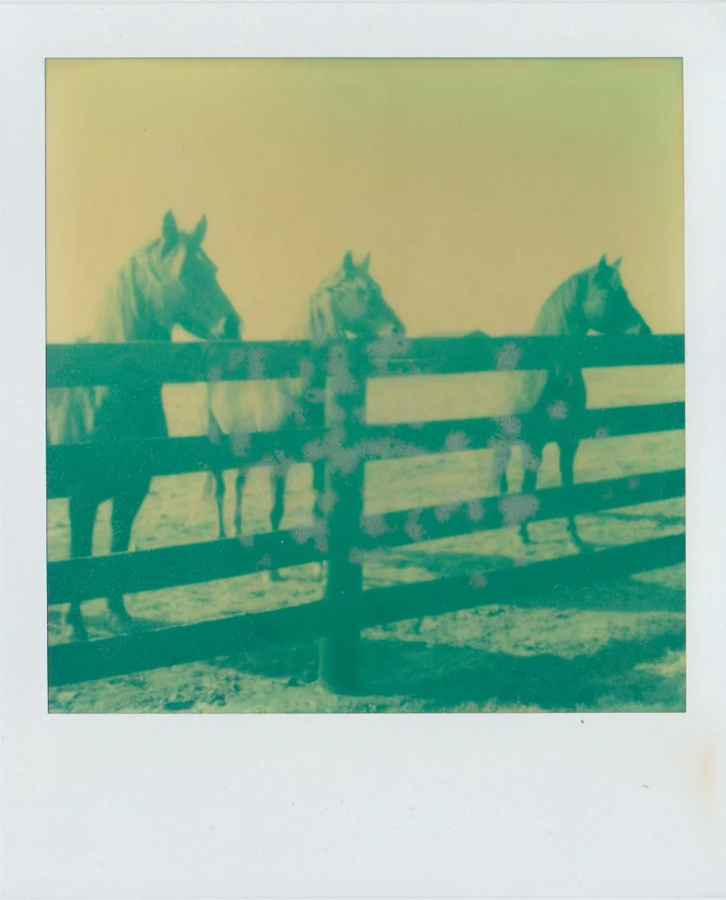 pennsylvania wedding film photographer photography blairsville ebensburg indiana latrobe ligonier greensburg pittsburgh polaroid