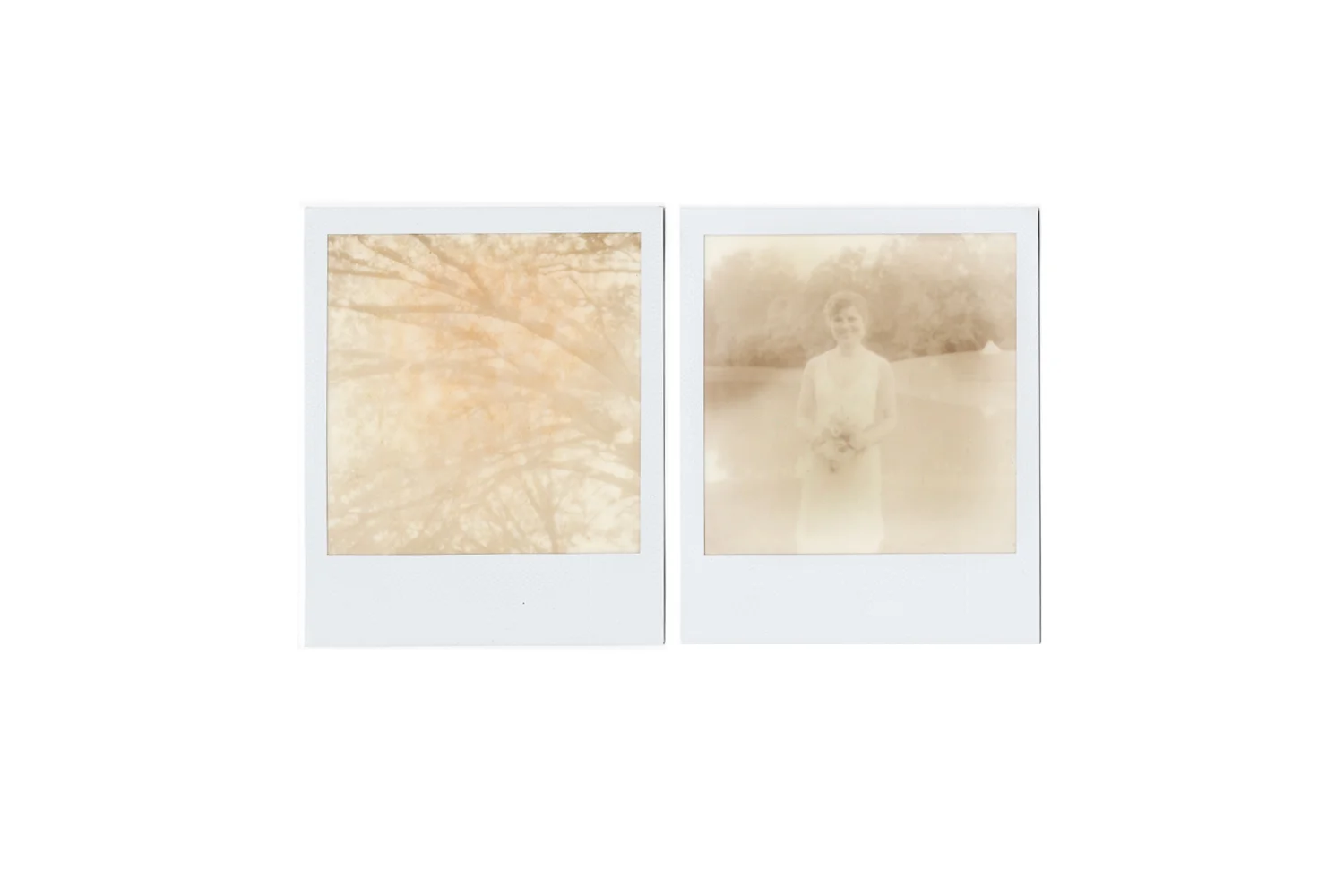 midwest wisconsin film wedding photographers