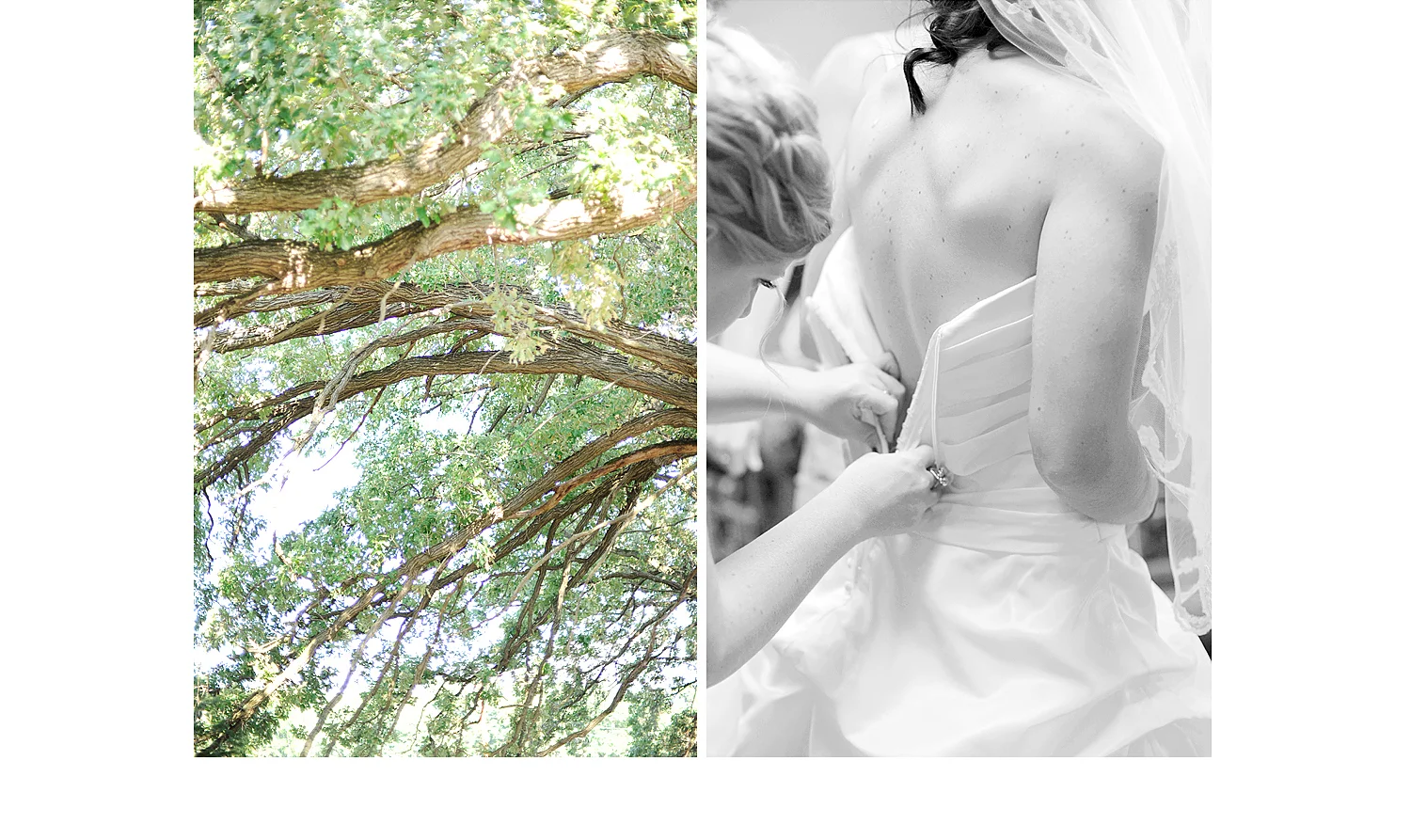 plymouth wisconsin wedding photographers