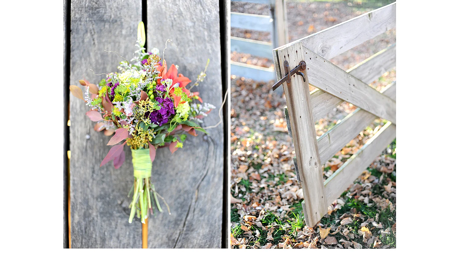 plymouth wisconsin wedding photographers