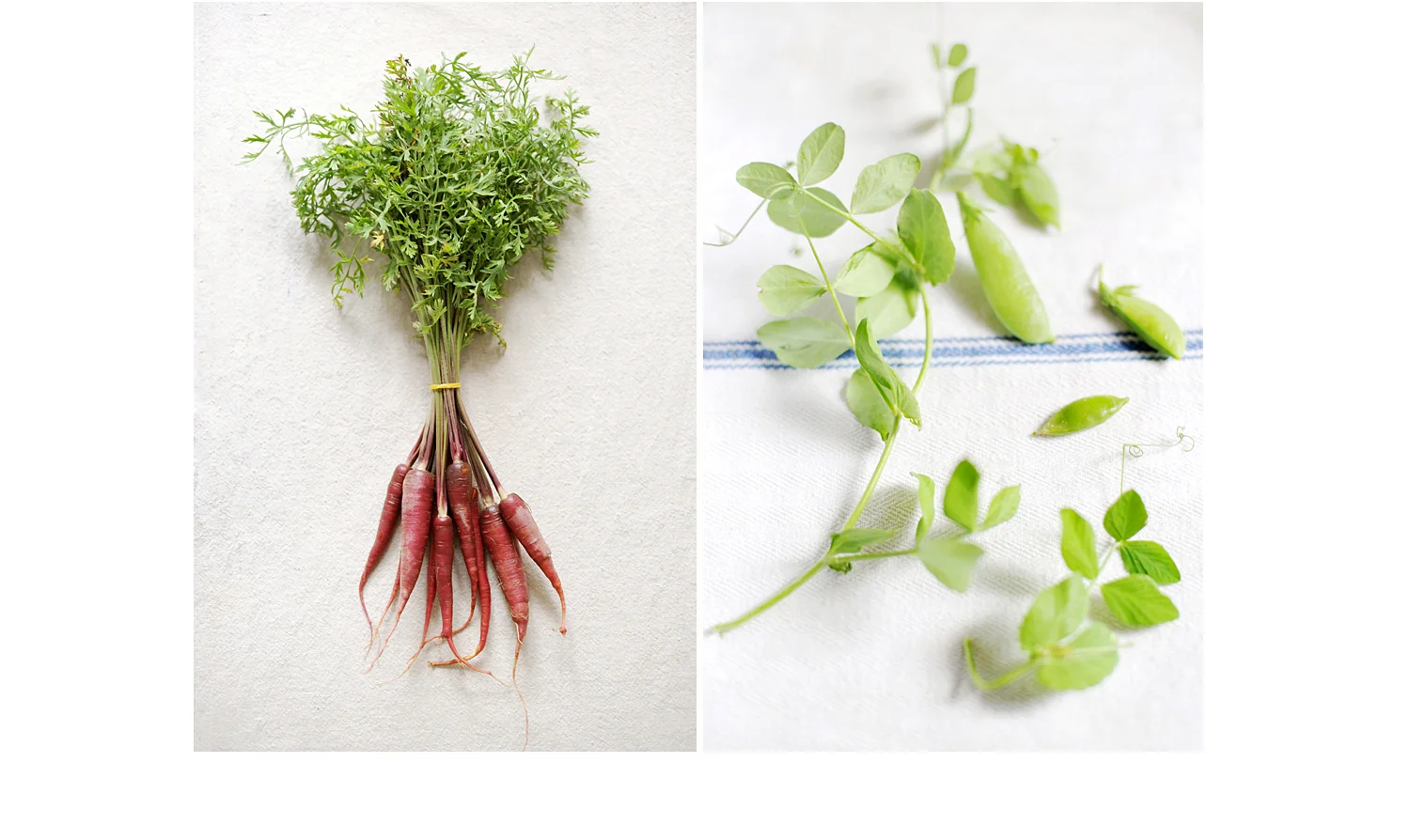 midwest wisconsin food photographer