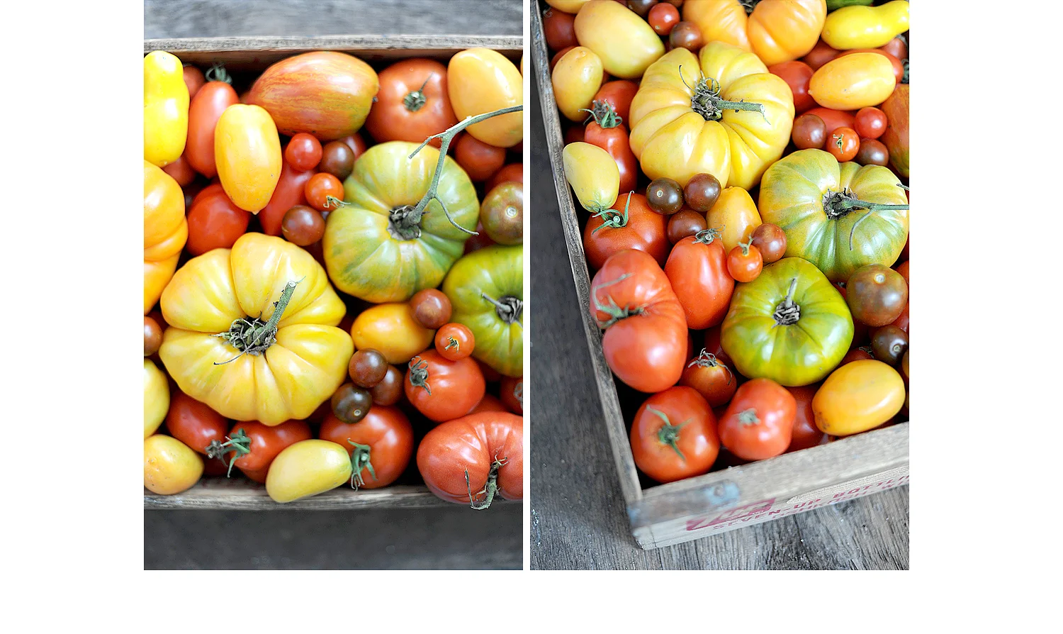 midwest wisconsin food photographer