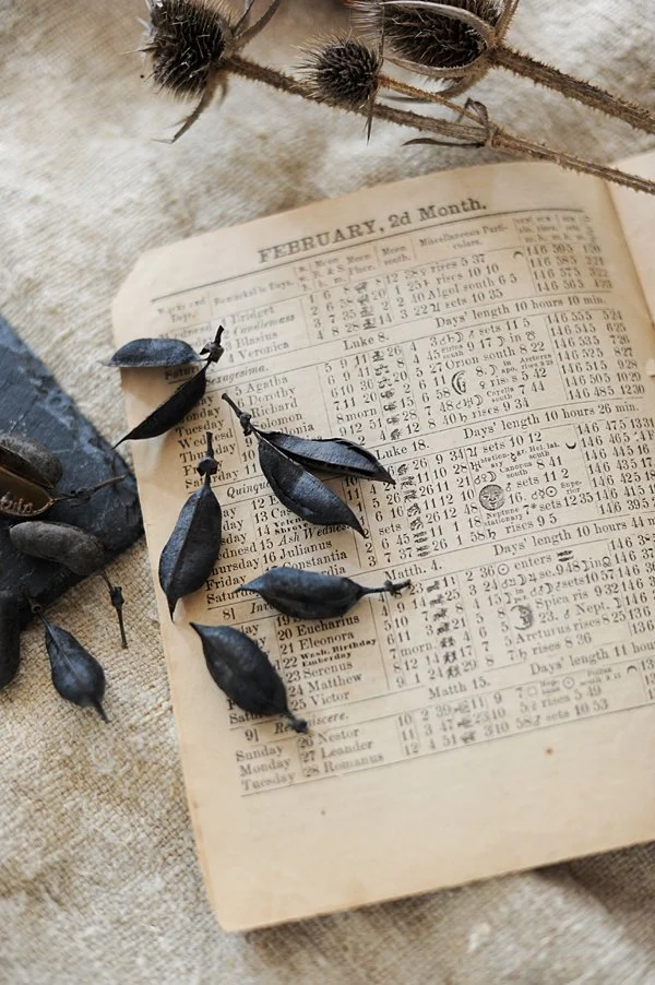 pennsylvania wedding film photographer photography blairsville ebensburg indiana latrobe ligonier greensburg pittsburgh polaroid