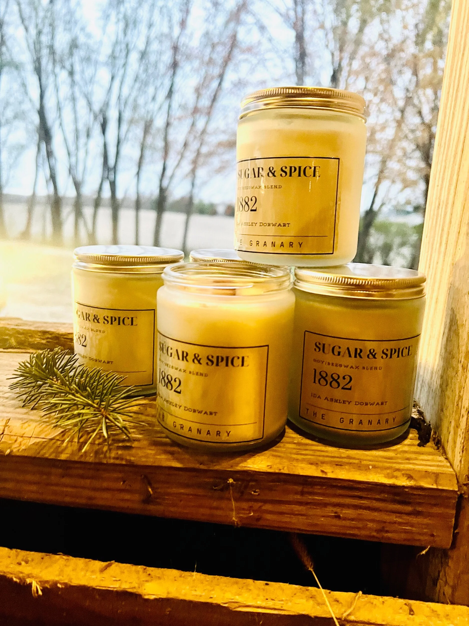 02181FF3-6BAB-4D7E-8E20-5A2A63C58720