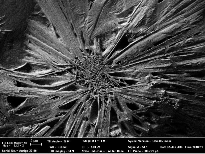 100mg Carbon Fiber Sample