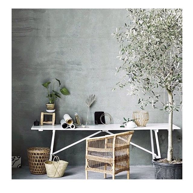 || under olive tree office inspiration || Thanks for house tree sitting until the weather warms up.
