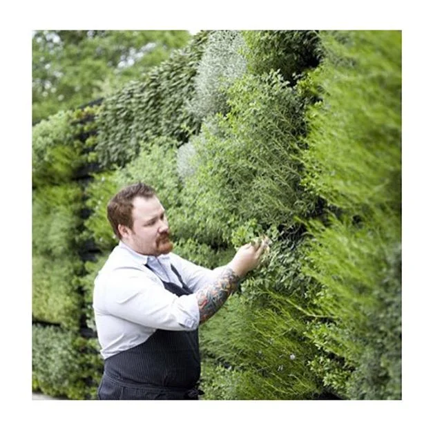 &bull; L I V I N G  W A L L &bull;

#atlantabotanicalgarden 
thanks for reminding me about this visit 📷 @gardendesignmag