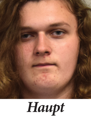 Steven Haupt of Gladwin - Digital Media
