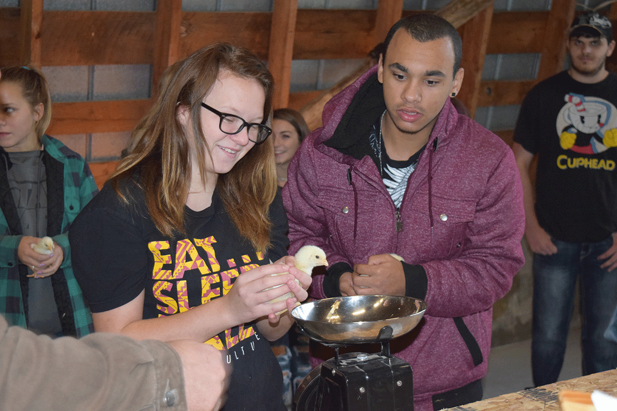 CTE’s Ag-Science students are raising chickens as part of their curriculum.
