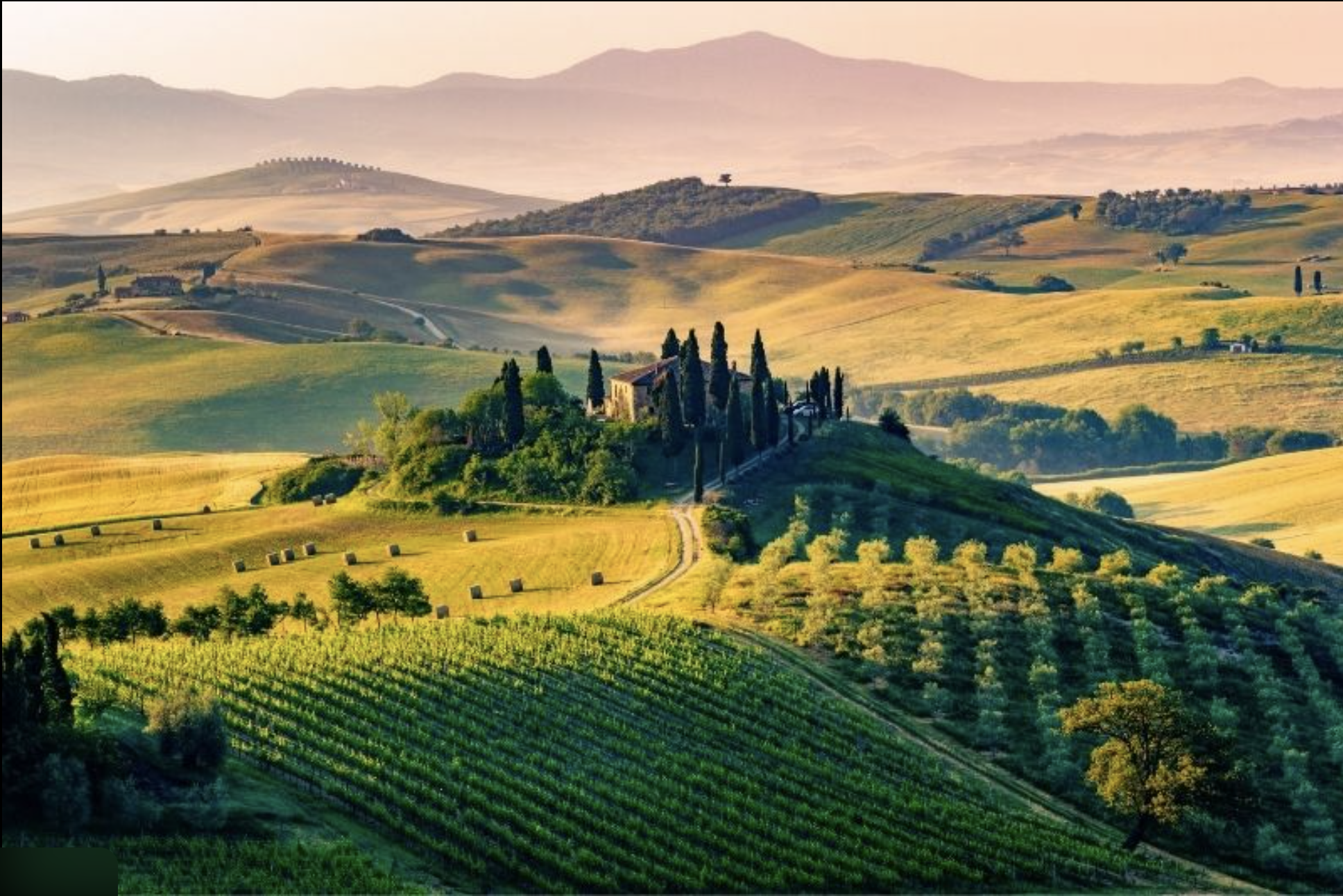 Screenshot 2026-02-07 at 12.41.52 PM.png