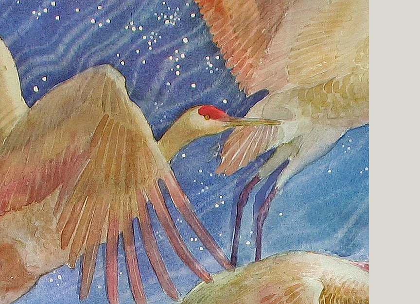 detail