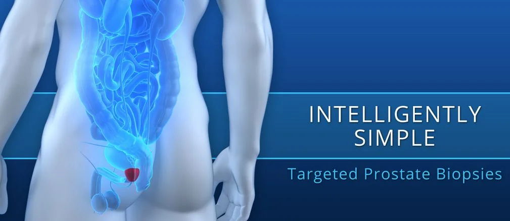 Focal Healthcare is developing MR Fusion prostate biopsy and therapy devices