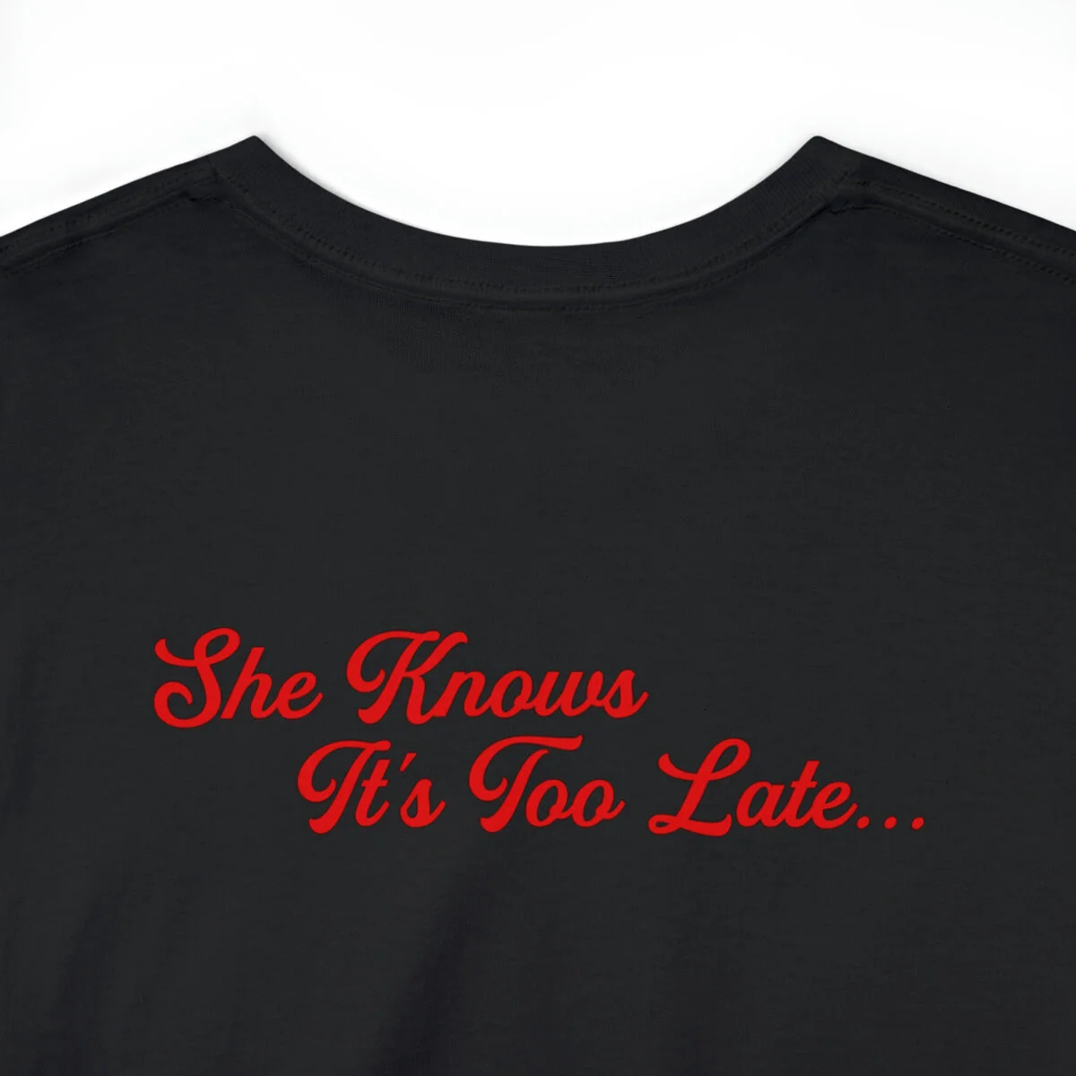 fcd1cdc40f028b94ffd552272588d869