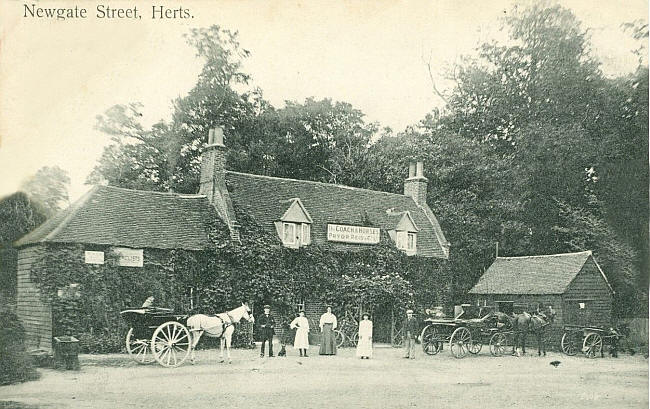 CoachHorses1905.jpg