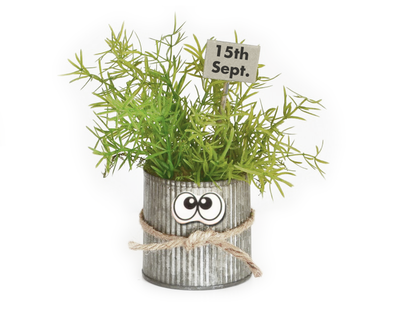 It's that thyme 2019.png