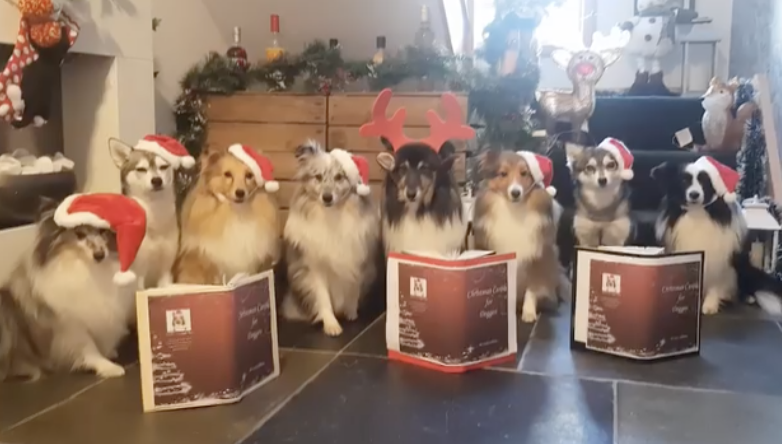 Christmas Carol Singing