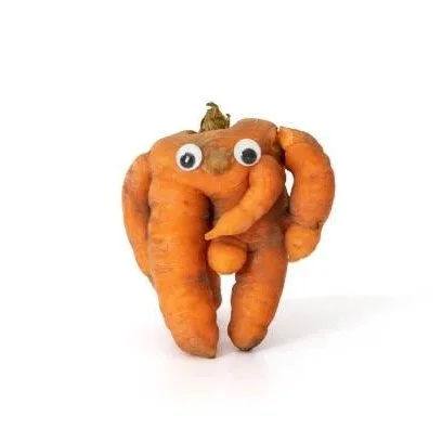 Village Produce Show - ENTRIES IN