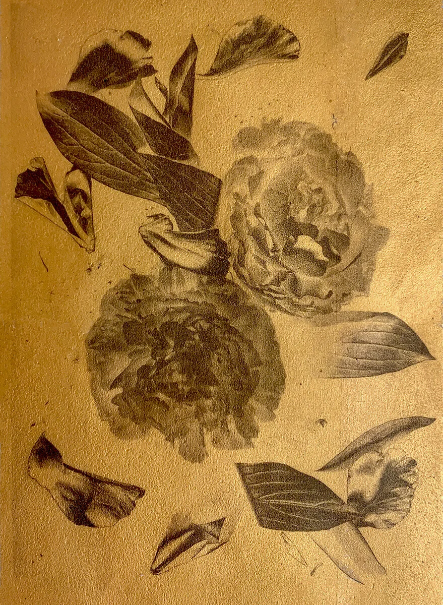 805095D9-D6CA-4D69-B569-33A5BA10C533