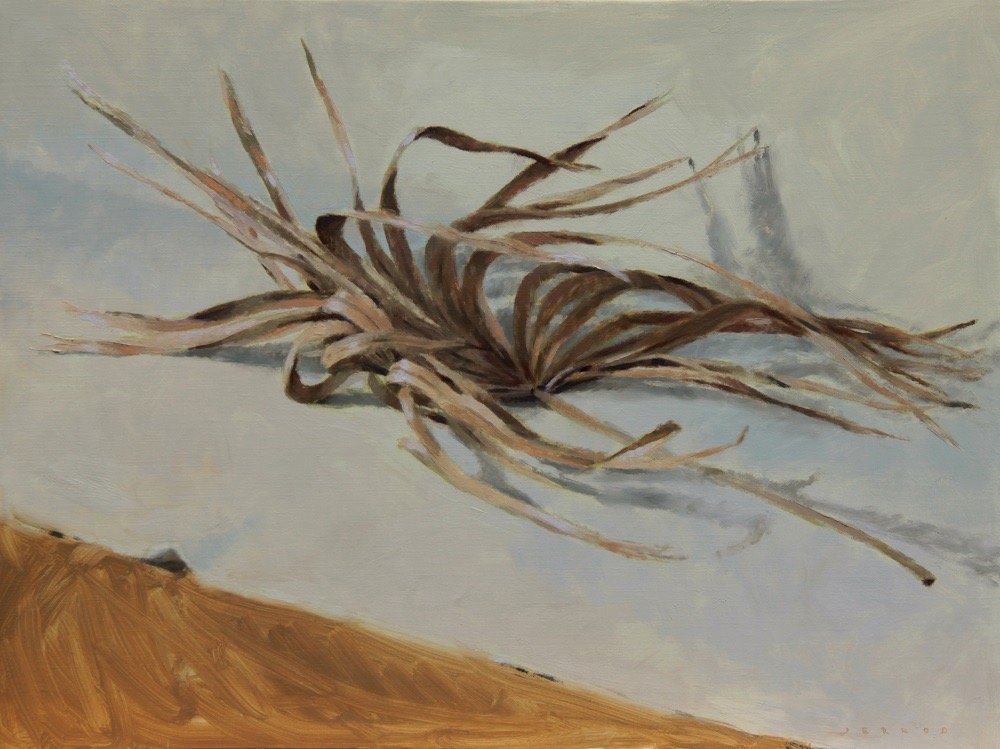  Jerrod Partridge,  Dried Palmetto , oil on canvas, 18 x 24 in. 