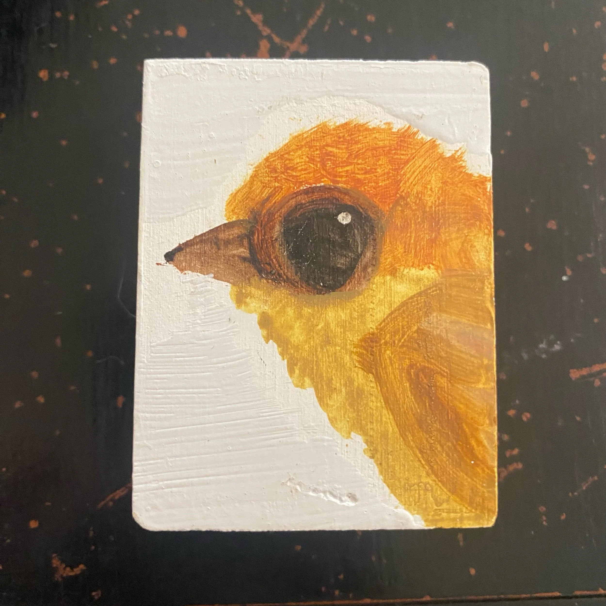 きーちゃん　YELLOWKORNER フォトアート 9461.1 #森下大輔 #写真 #morishitadaisuke #daisukemorishita