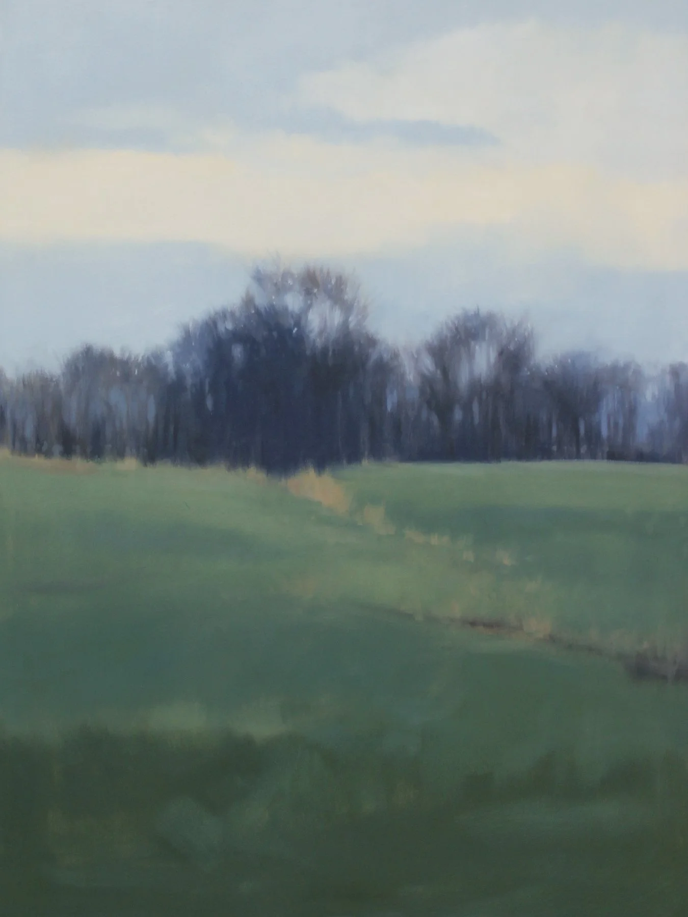   Resting Field , oil on canvas over panel, 40 x 30 in. 