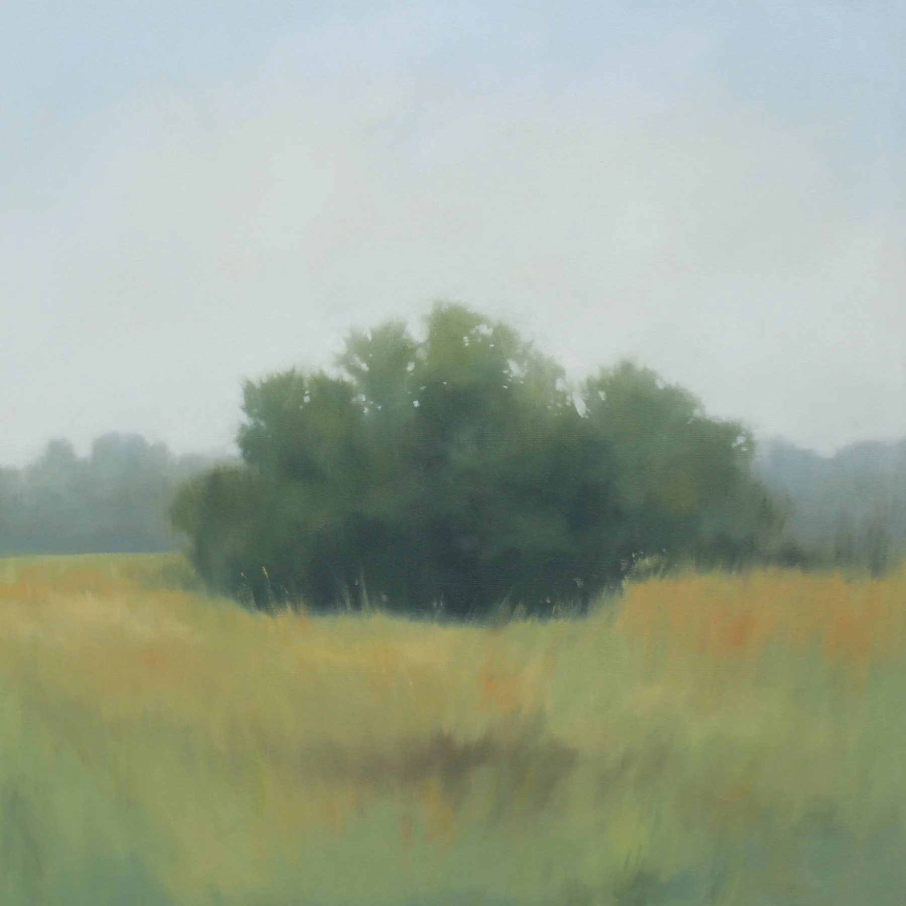   Milk Ridge Meadow , oil on canvas over panel, 30 x 30 in. 
