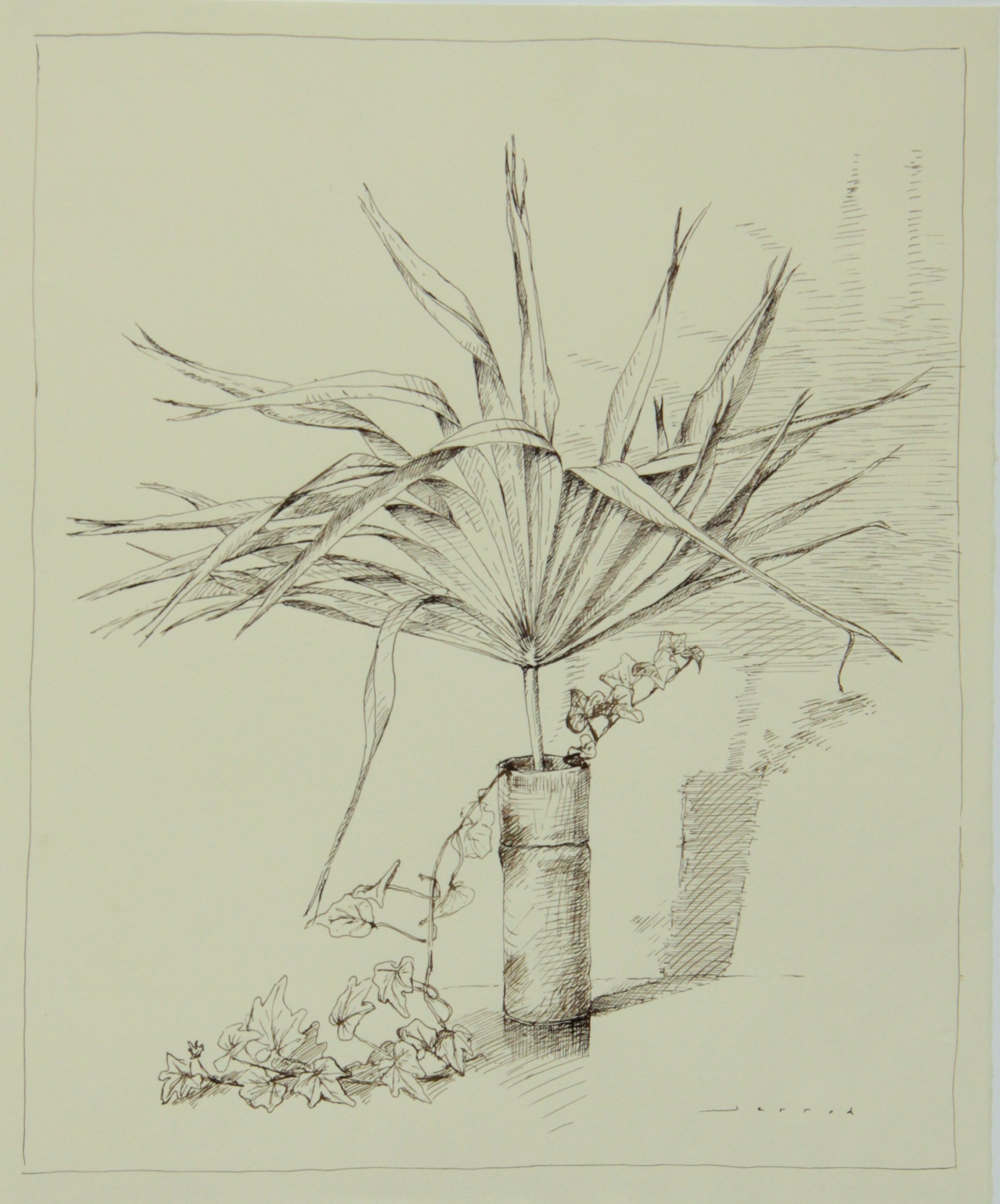 Palmetto & Ivy, walnut ink on paper, 24.5 x 20.5 in., framed