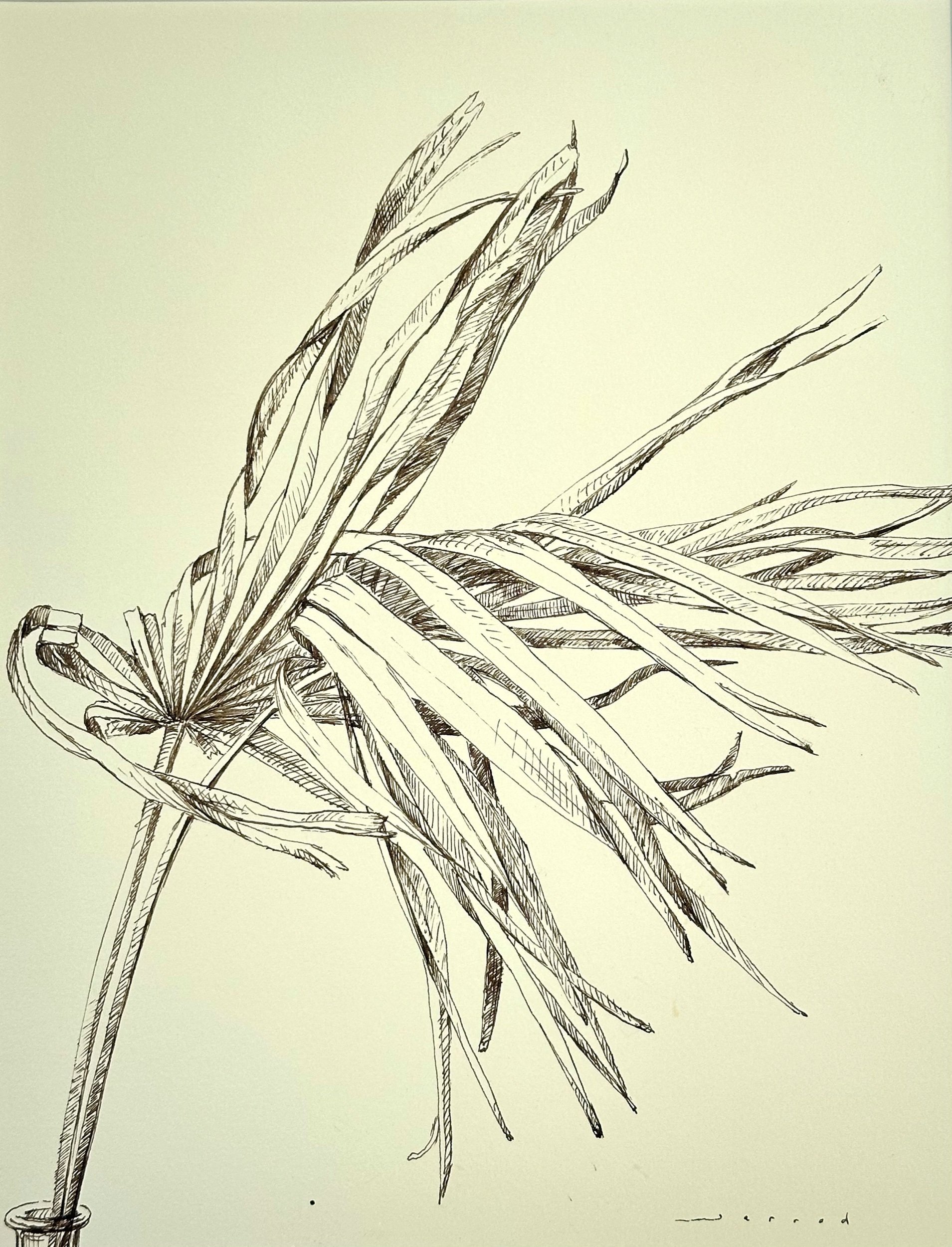 Dried Palmettos, #2, walnut ink on paper, 21.25 x 17.25 in., framed