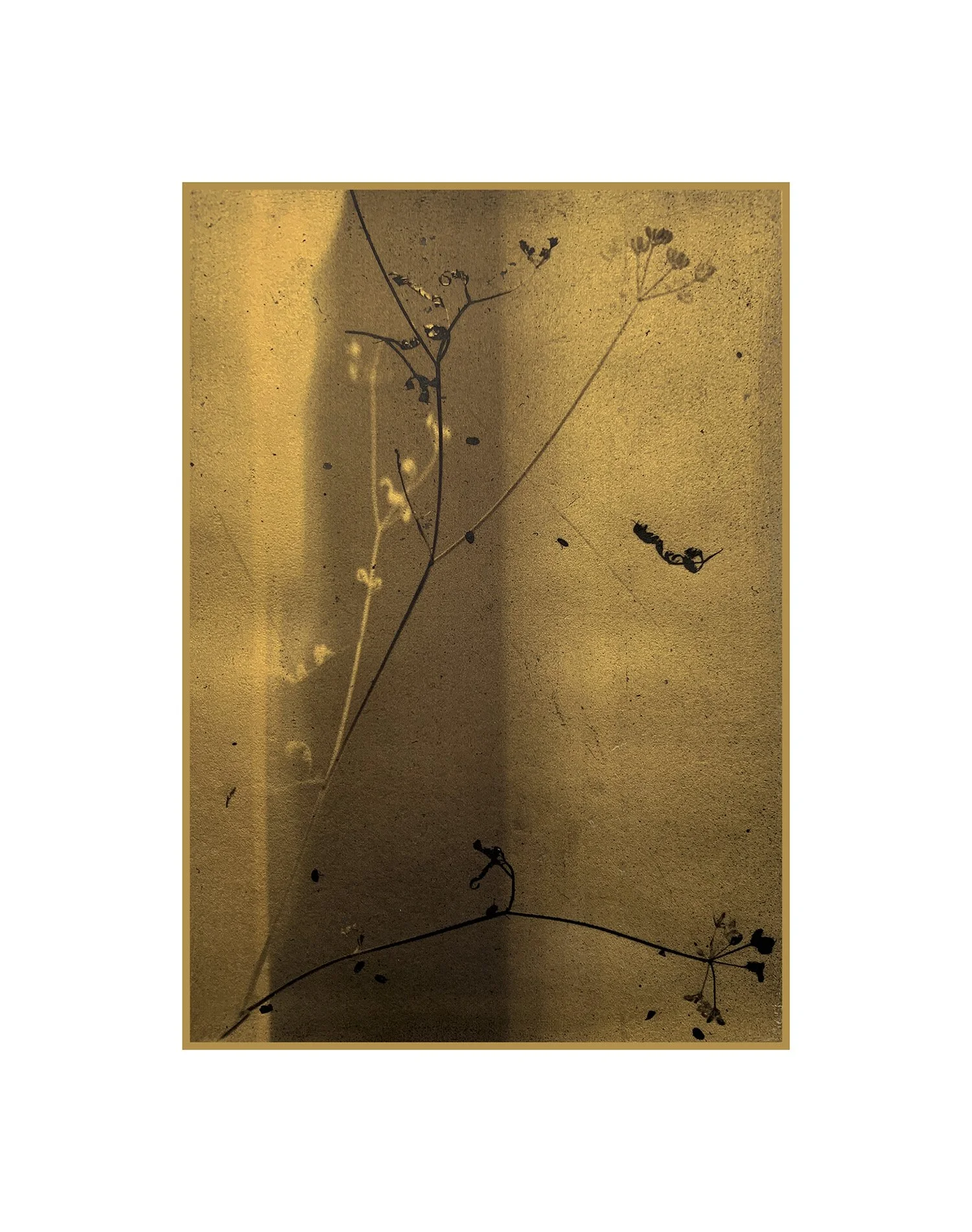 Pause 24k hand gilded archival print on vellum with UV varnish and wax Approx. 4 x 5 .5 in., image matted to 11 x 14 in. Edition of 15 + 2AP Click to Inquire