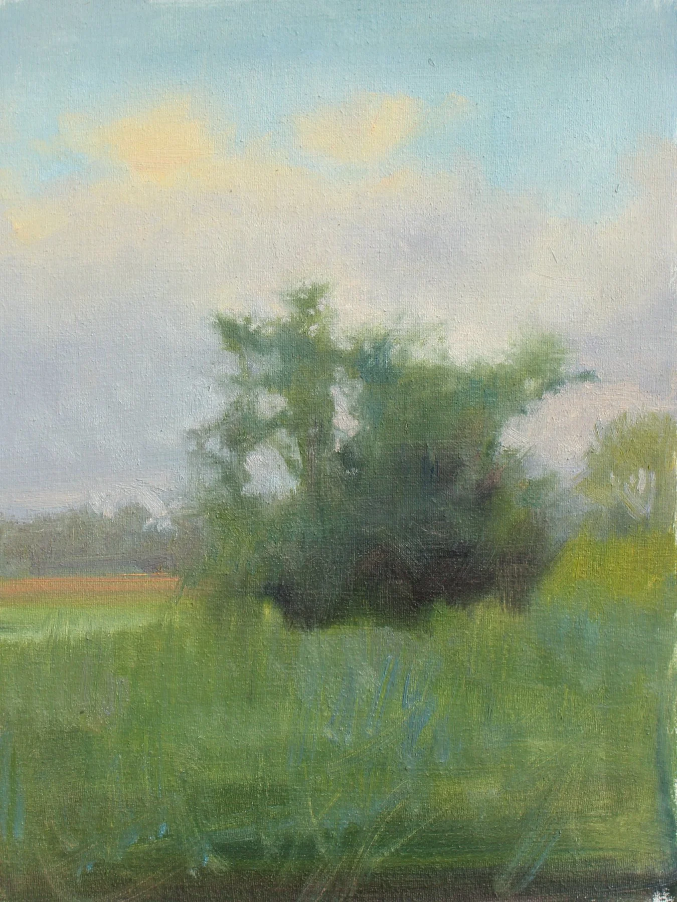   Early Dusk Field Study   Oil on canvas panel  8 x 6 in.    Click to Inquire   