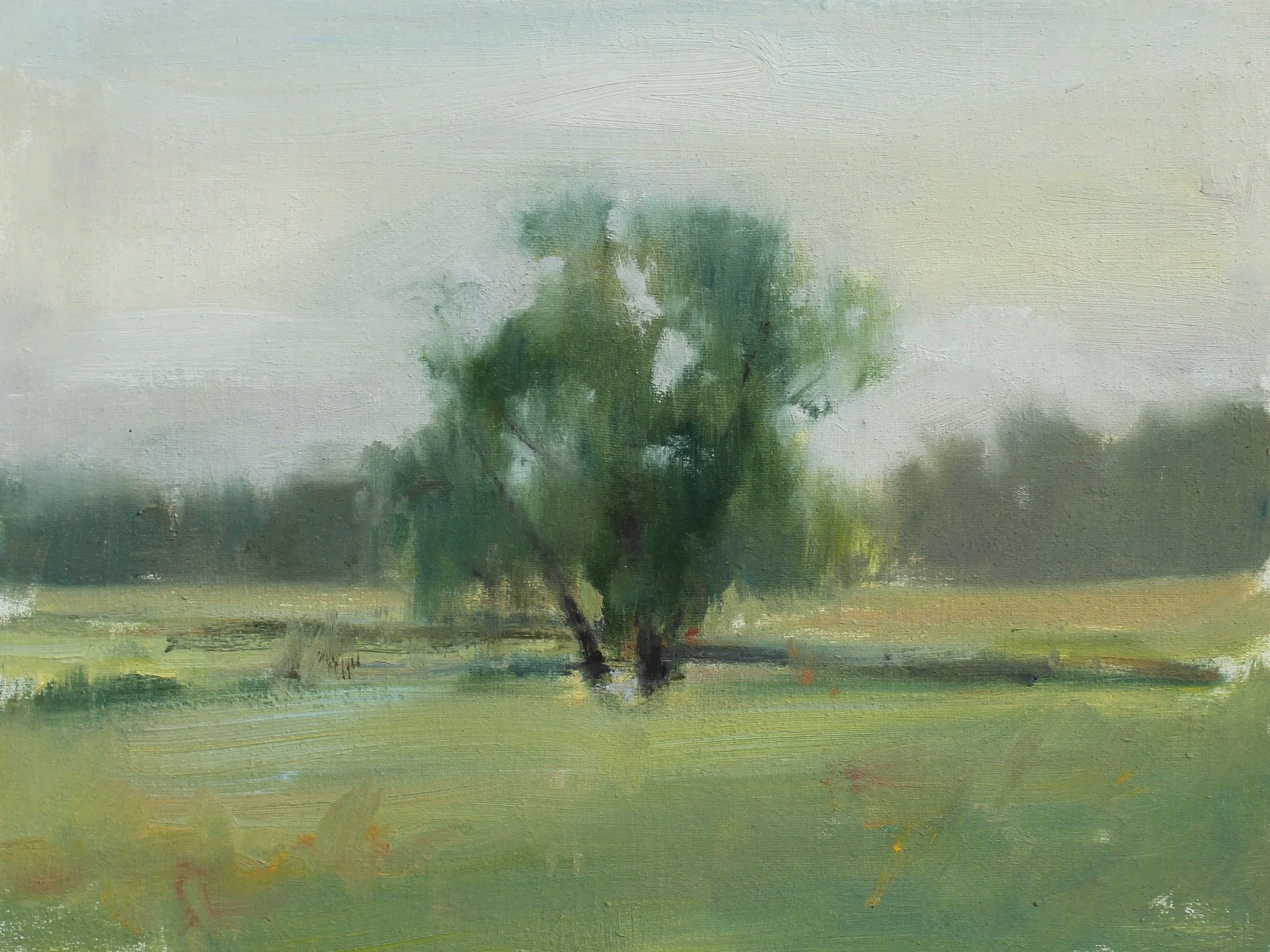   Lonely Marsh Field Study   Oil on canvas panel  6 x 8 in.    Click to Inquire   