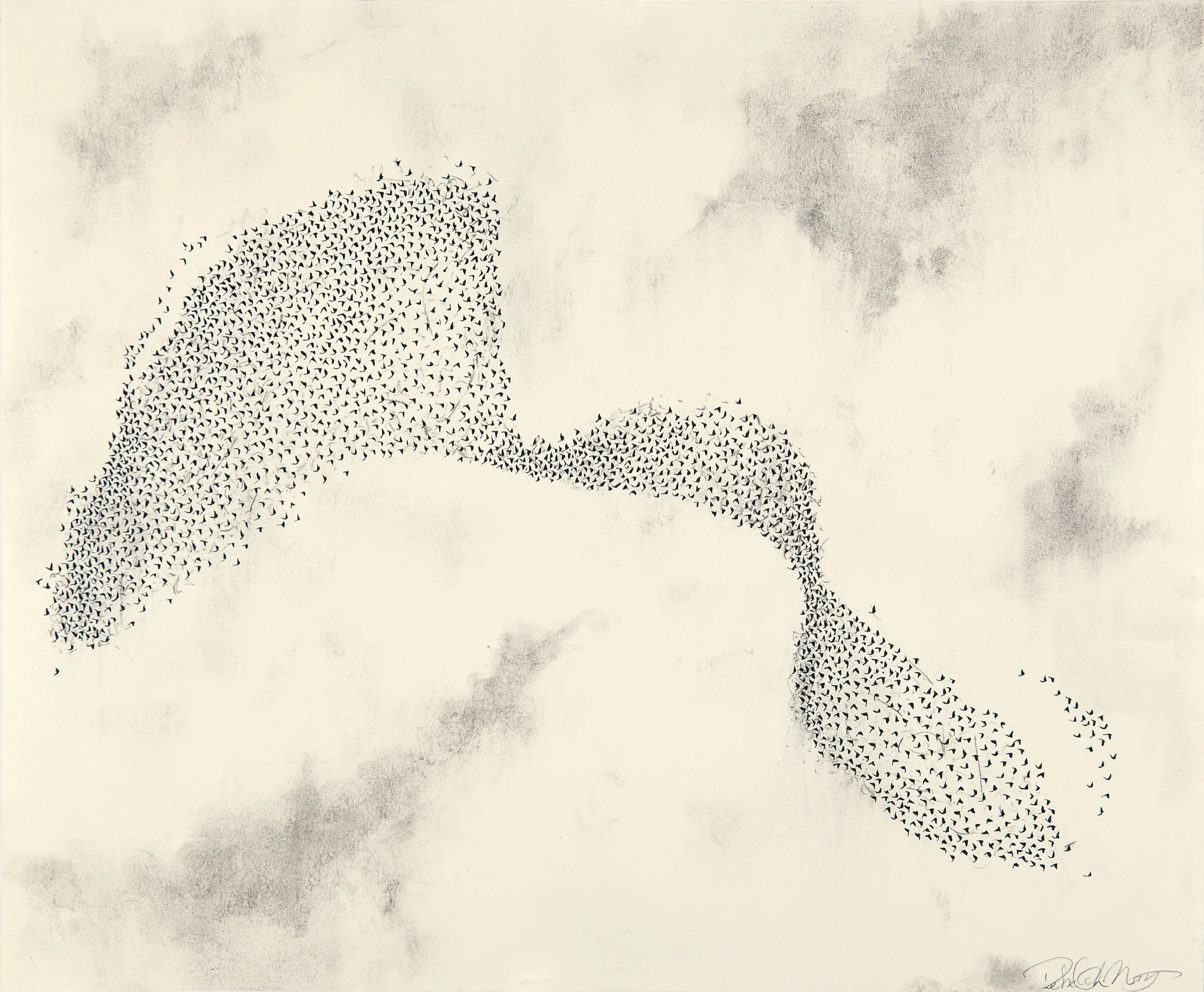   Murmuration, #6   Ink &amp; charcoal on paper  14 x 17 in.    Click to Inquire   