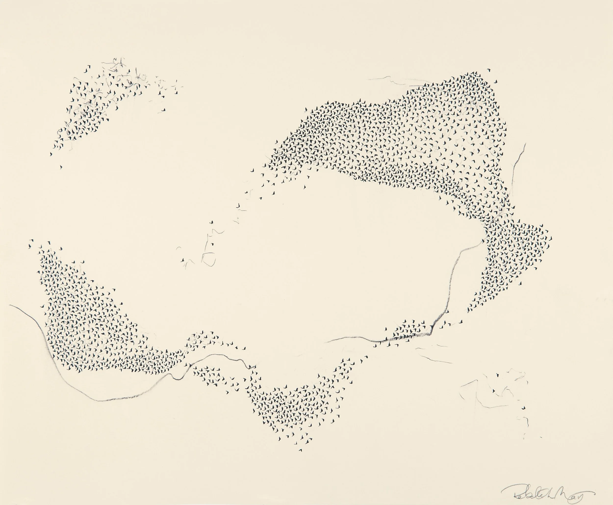  Murmuration, #5   Ink &amp; charcoal on paper  14 x 17 in.    Click to Inquire   