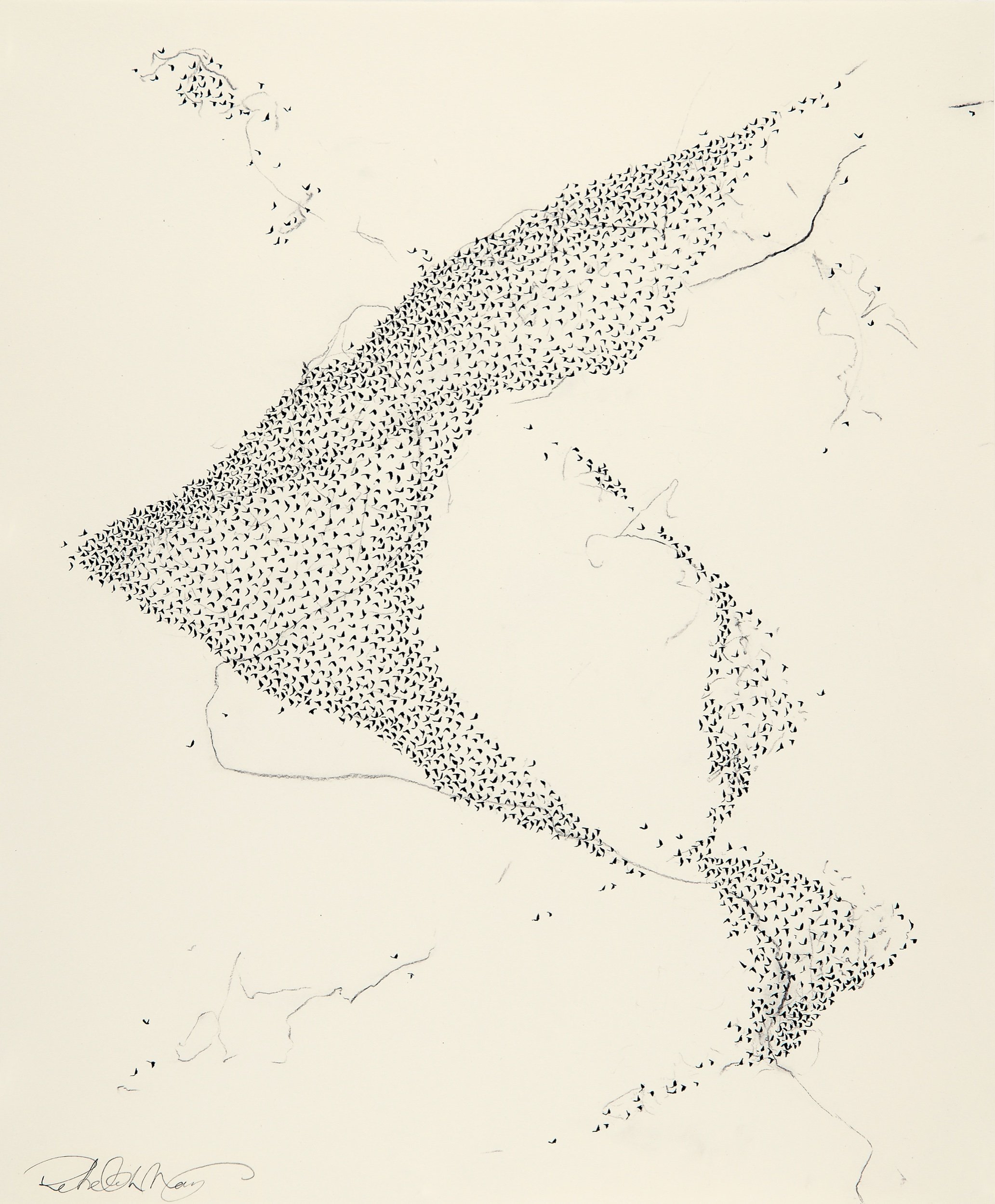   Murmuration, #1   Ink &amp; charcoal on paper  17 x 14 in.    Click to Inquire   