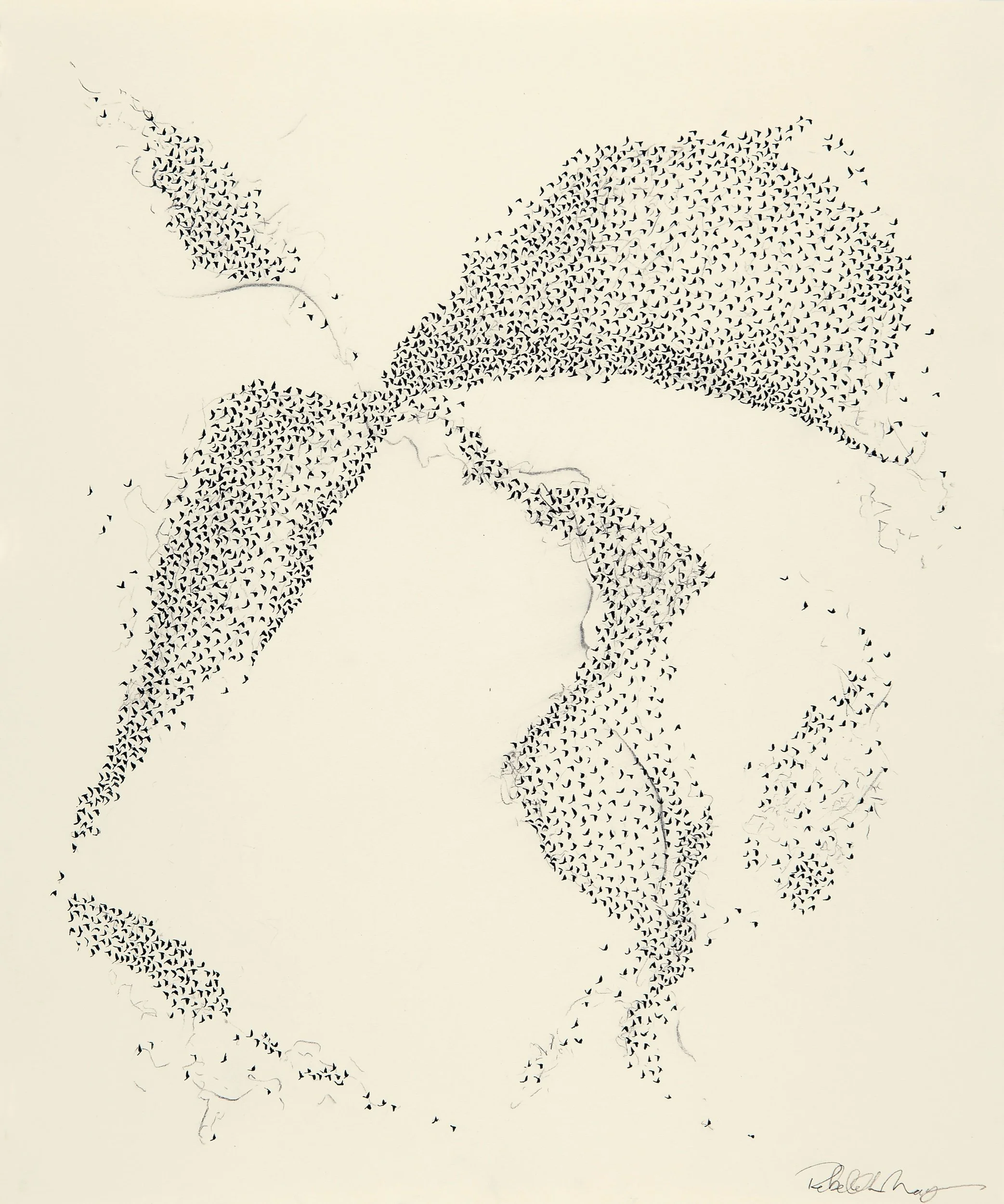   Murmuration, #2   Ink &amp; charcoal on paper  17 x 14 in.    Click to Inquire   