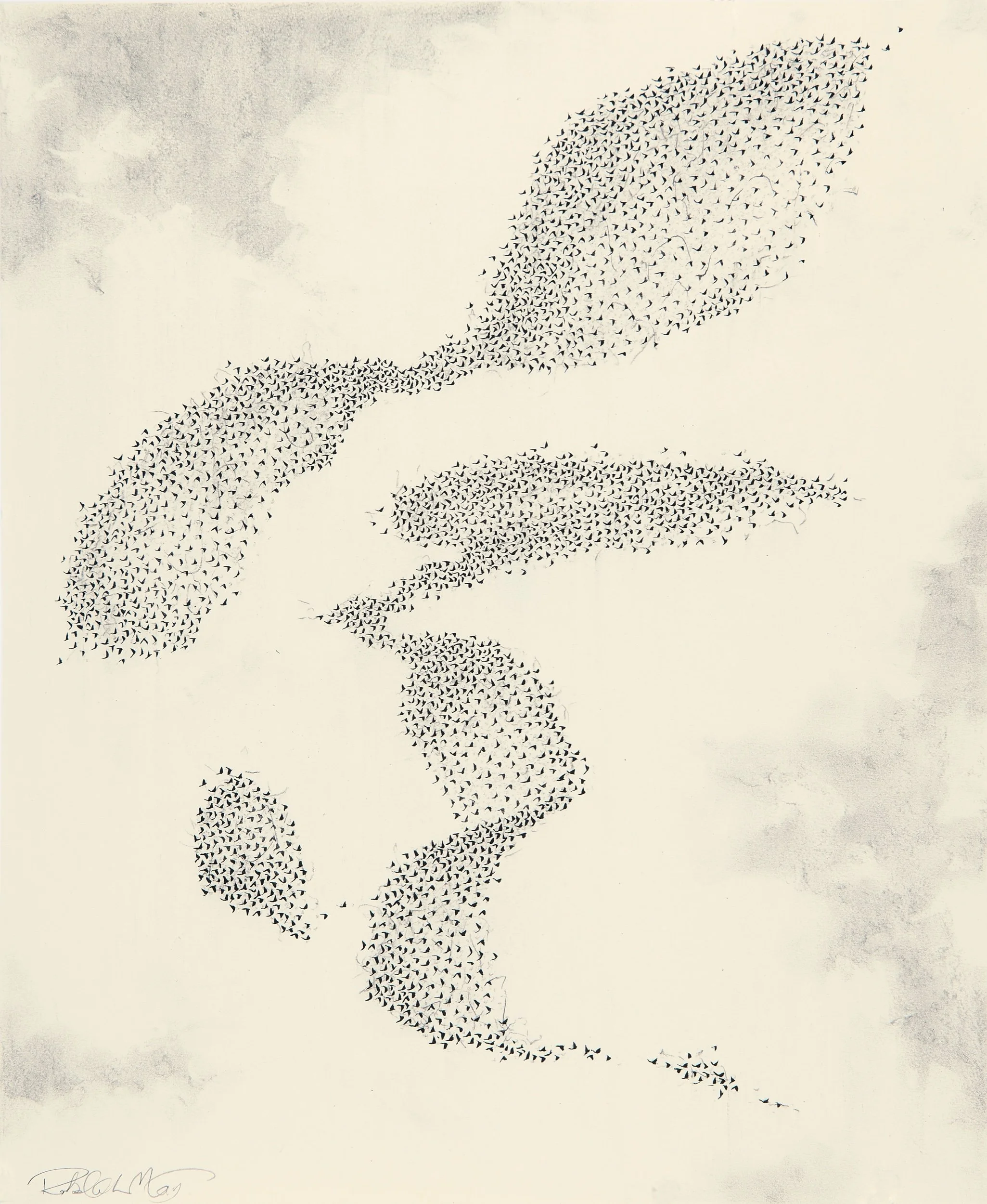   Murmuration, #4   Ink &amp; charcoal on paper  17 x 14 in.    Click to Inquire   