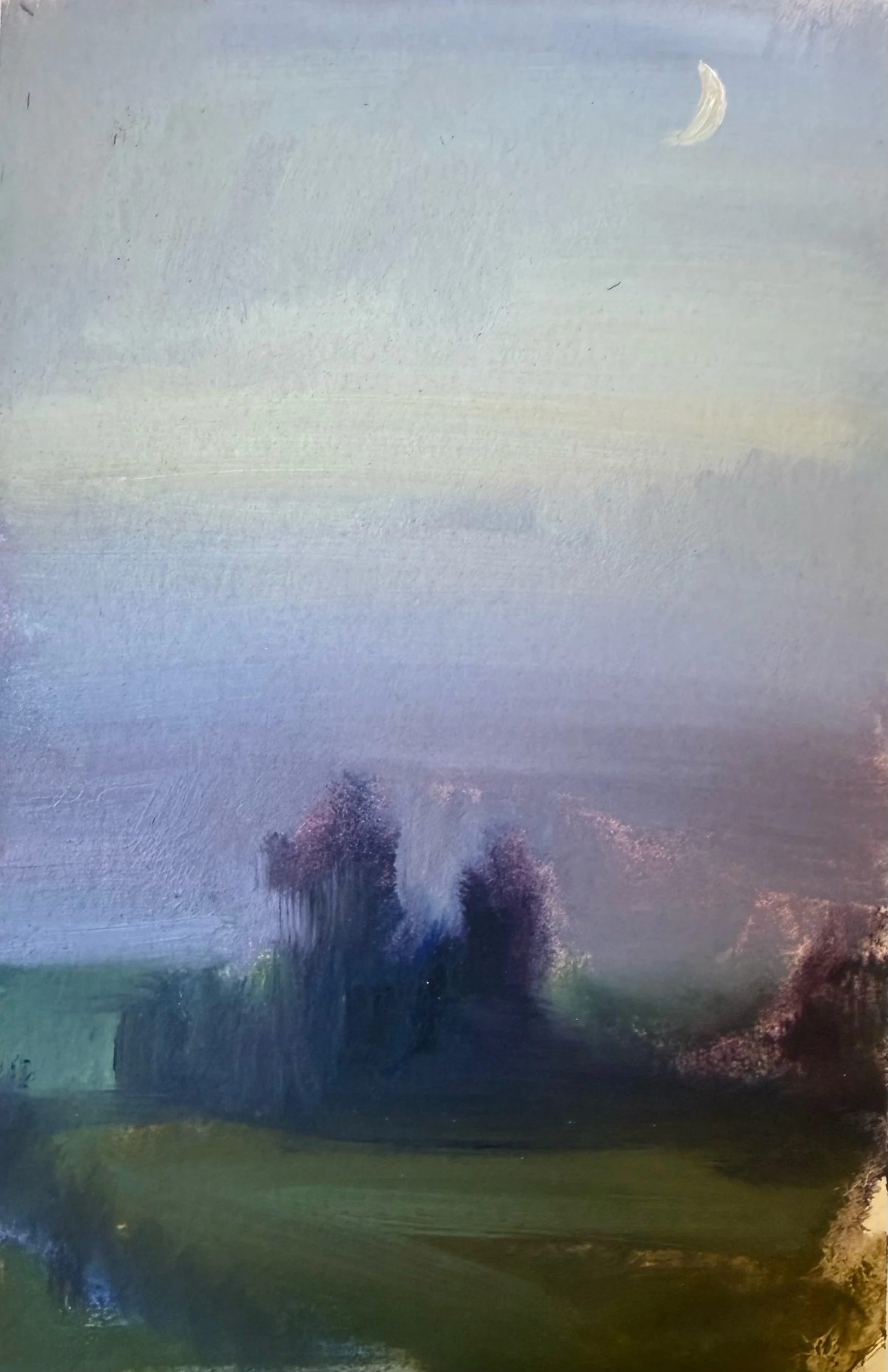   Twilight Pasture Field Study   Oil on paper  6 x 4 in.    Click to Inquire   