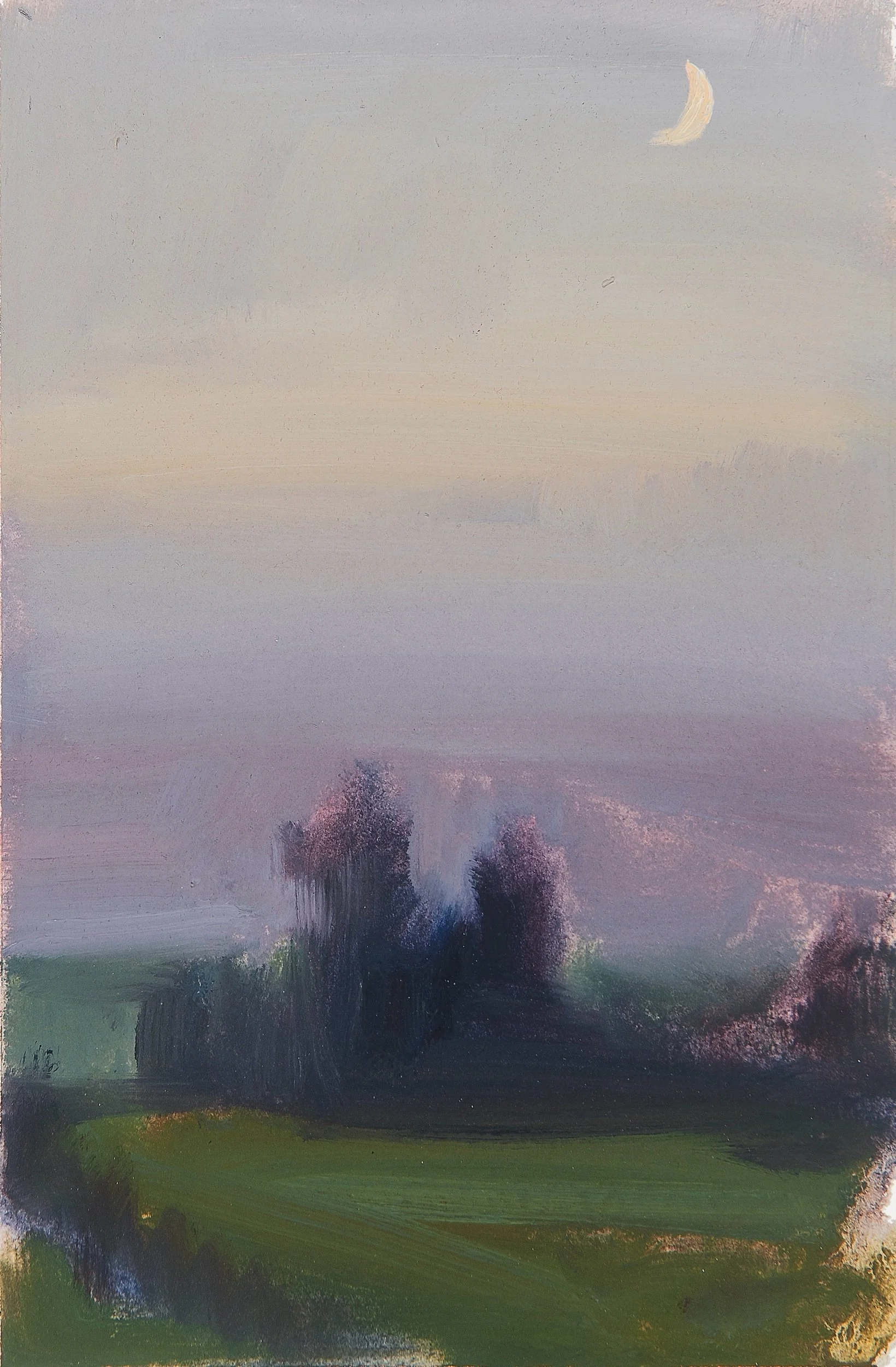   Twilight Pasture Field Study   Oil on paper  6 x 4 in.    Click to Inquire   