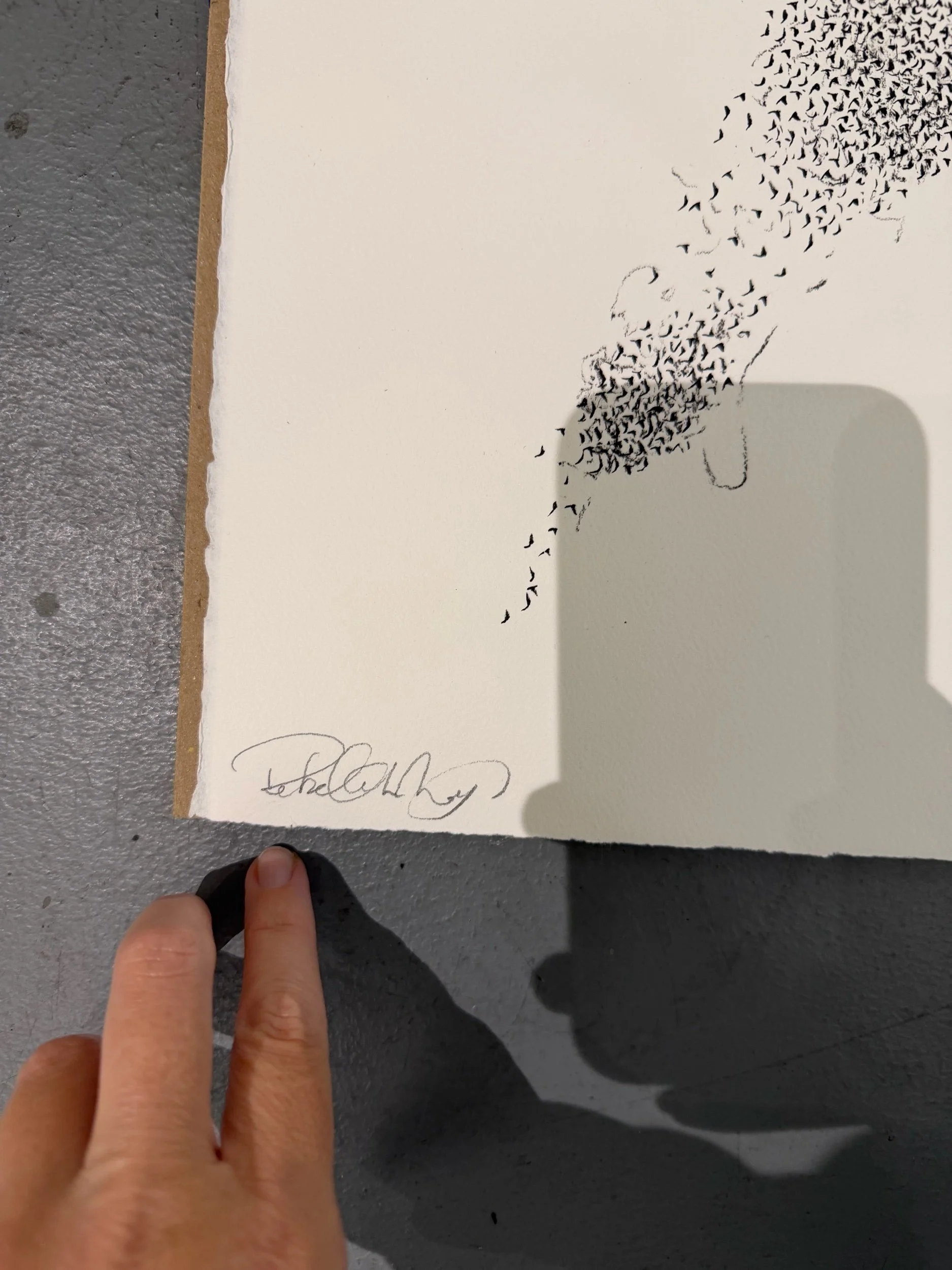 C090784A-0F3E-4546-A026-4864059E9061.jpeg