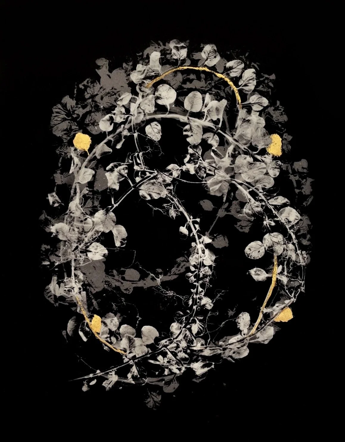   Pennyroyal has been used for  Centuries but is Lethal in the Wrong Dose   Archival pigment print with 24k gold on kozo paper  13 × 10 in., sheet  Ed. of 7 + 1AP    Click to Inquire    