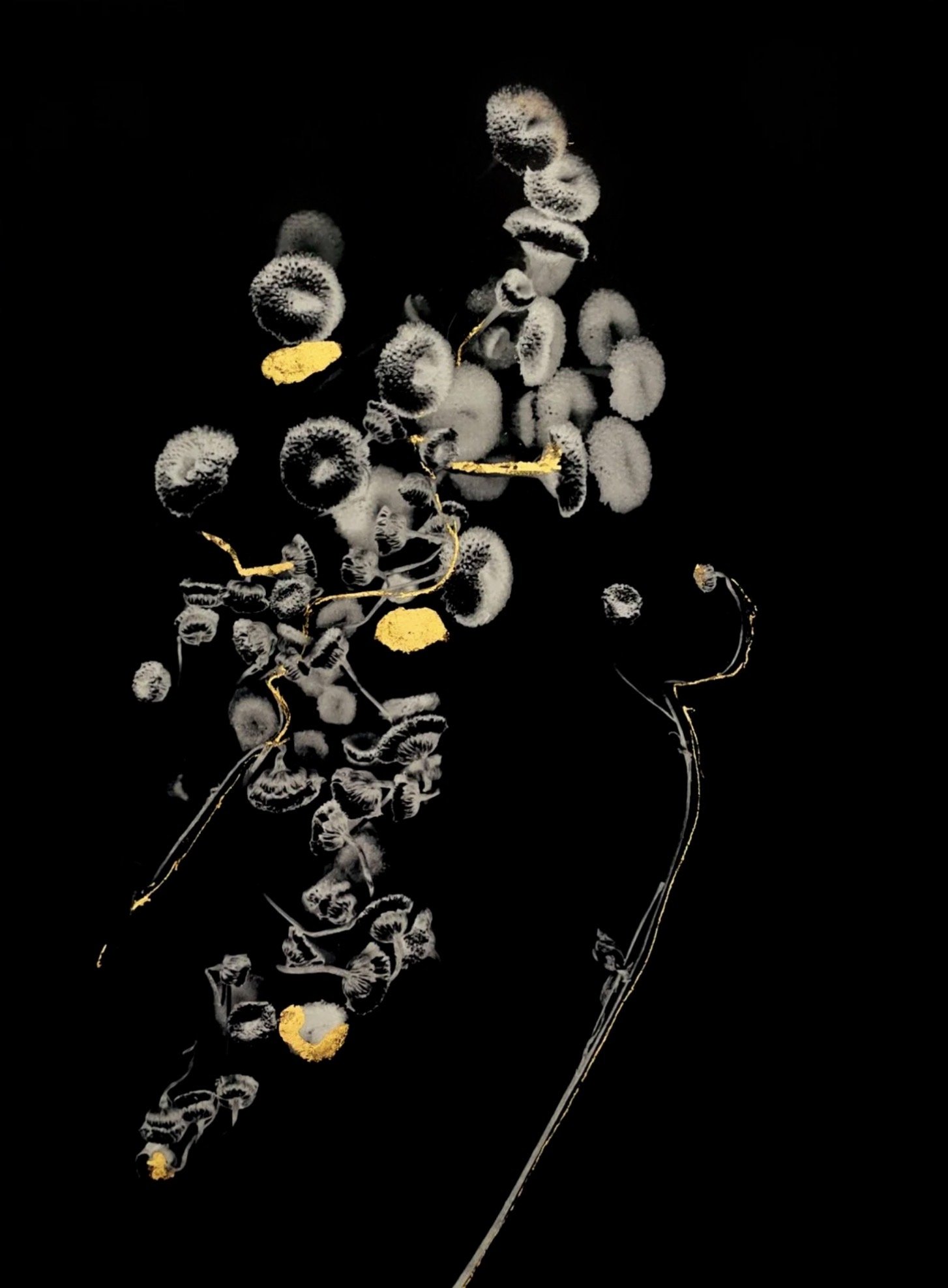   Of Athanasia    Archival pigment print with 24k gold on kozo paper  13 × 10 in., sheet  Ed. of 7 + 1AP  Series:  Seeds of Strength &amp; Resilience     Click to Inquire    